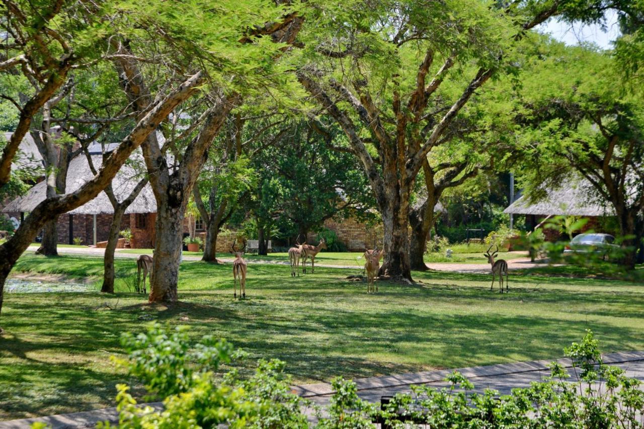 Cambalala - Kruger Park Lodge Hazyview Eksteriør billede